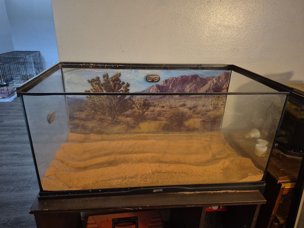 Lizard Tank 35 Gallons And Acesseries