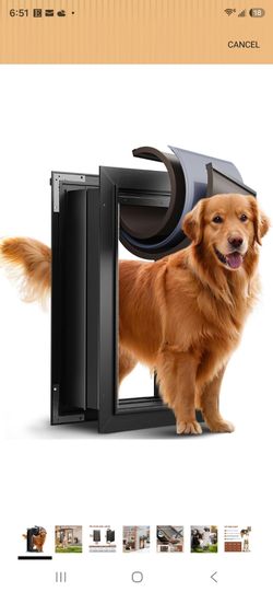 Large in wall doggy door new
