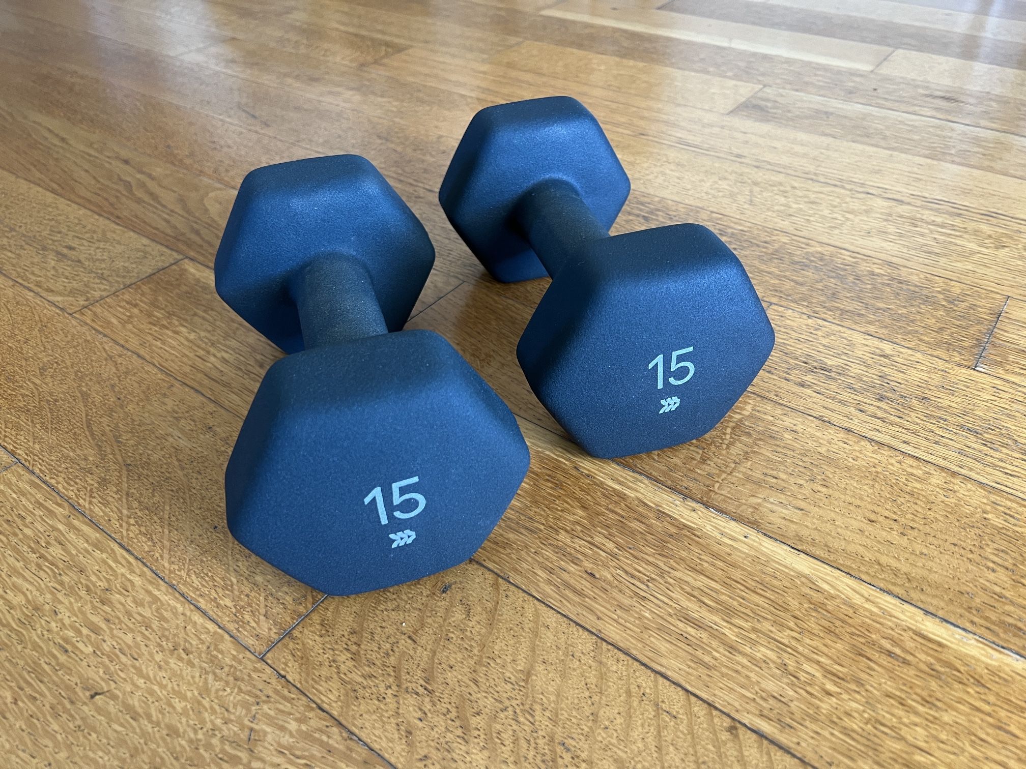 15lb Dumbbell Set - All in Motion - Strengthen Your Workout