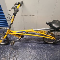 Evo Recumbent Bike