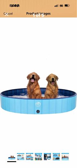 Dog pool foldable