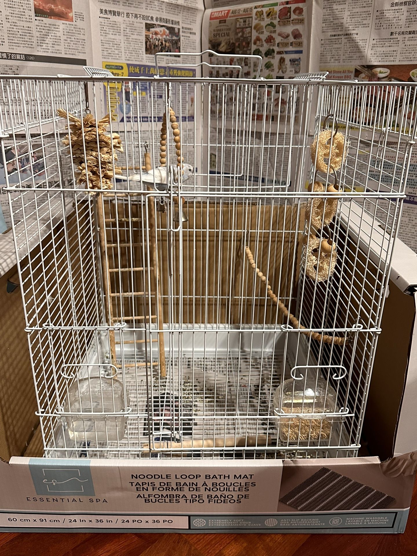 large bird cage with one Parakeet
