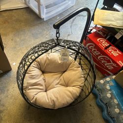 Cat Swing