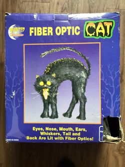 Haunted Hollow Fiber Optic Halloween Black Cat