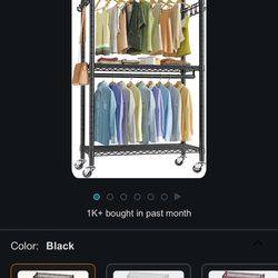 Portable Closet/ Garment Organizer 