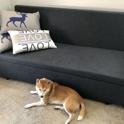 Full Sleeper Sofa