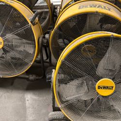 Dewalt Fans 