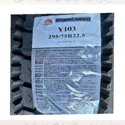 Master the Street with Tough Cargo Transport Tires poor sea
