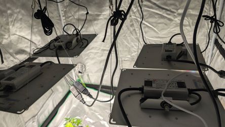 Led grow light full spectrum