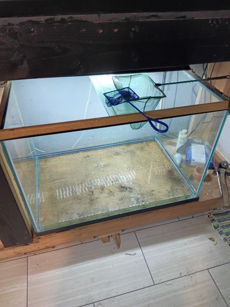 Fish Tank