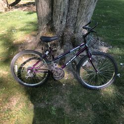 24” Mountain Bike 