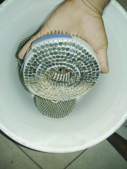 Siding/fencing nail plastic coil