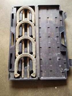 Horseshoe set