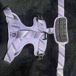 Arcadia Dog Harness (size Large)
