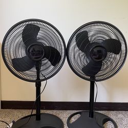 Adjustable Standing Fans