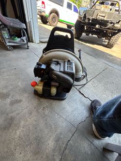 Echo back back blower