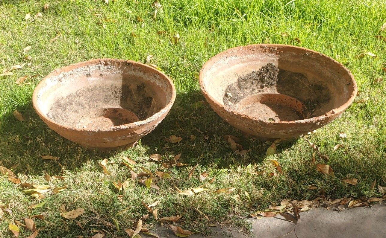 2 Large Clay Flower Pots for Sale in Gilbert, AZ OfferUp