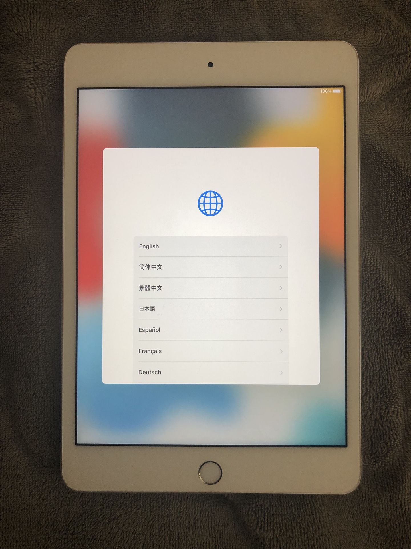 iPad Mini 4