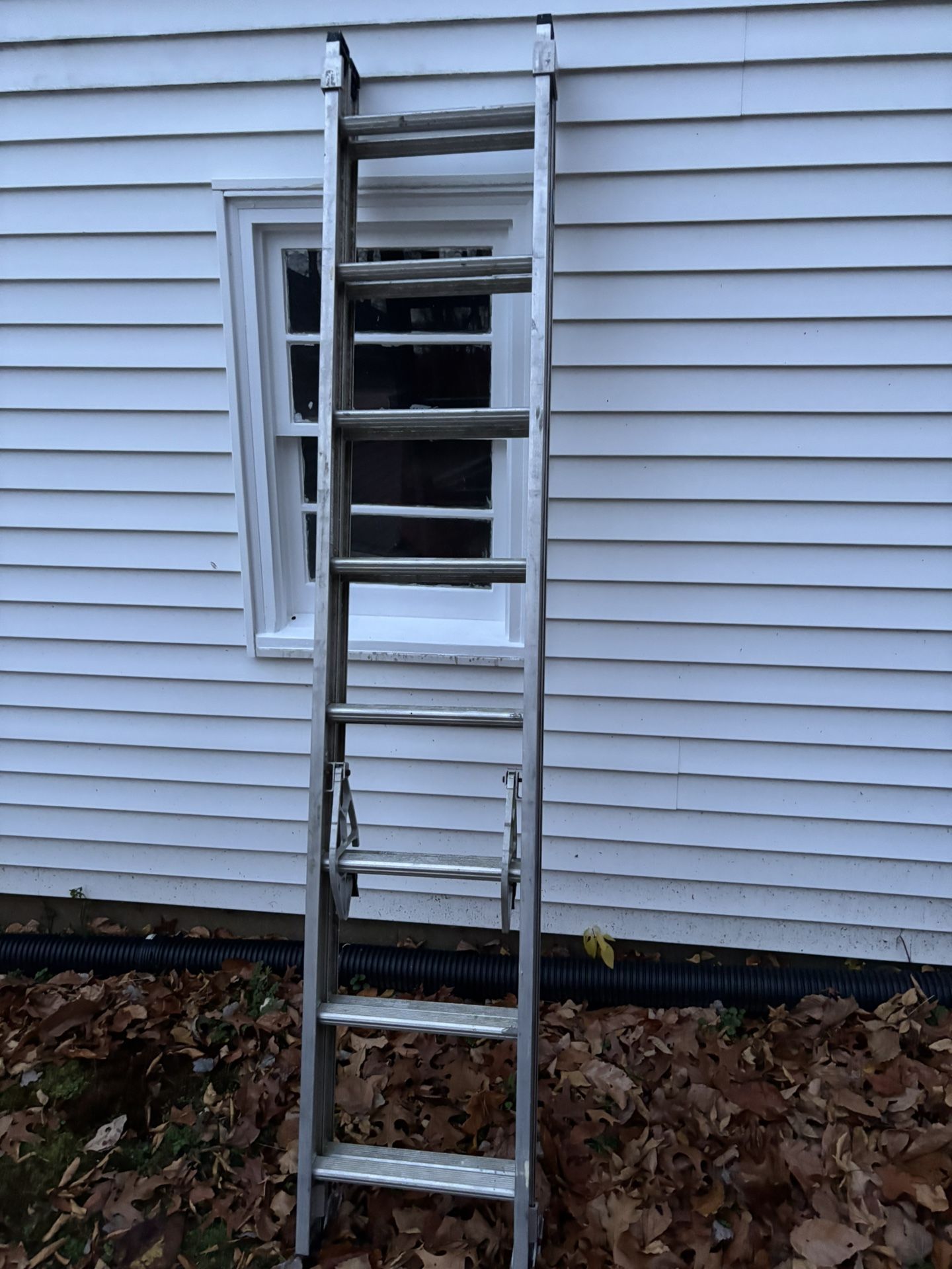 16’ Werner Extension Ladder