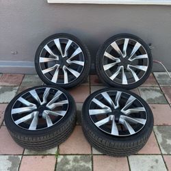 Tesla Model 3 19inch Wheels 