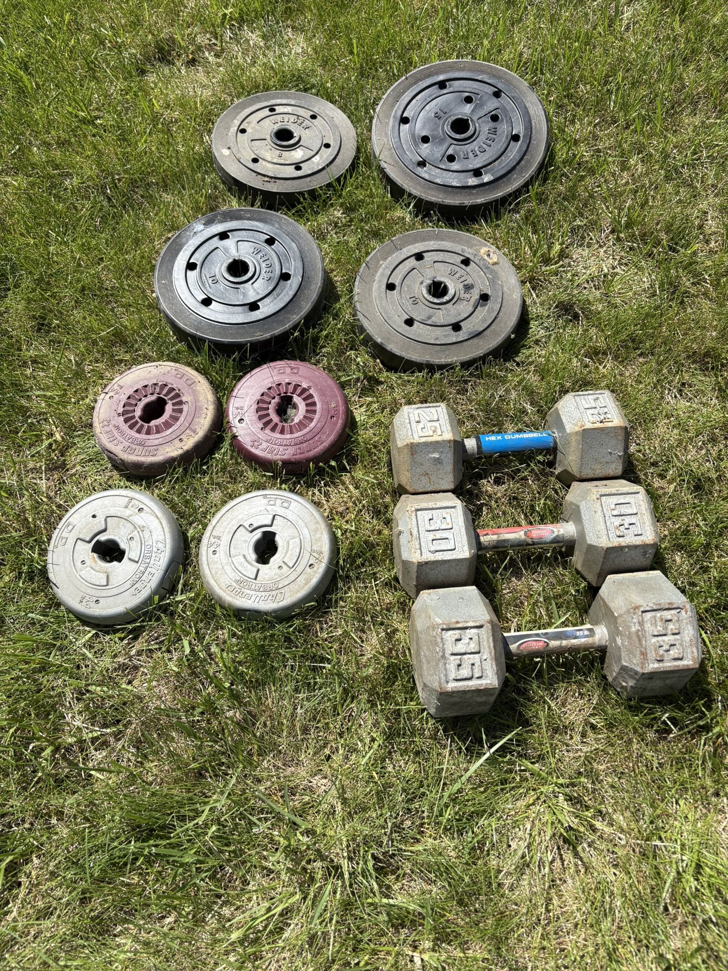 Weight Bench And Free Weights