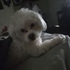 RJ