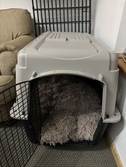 Large Dog Crate