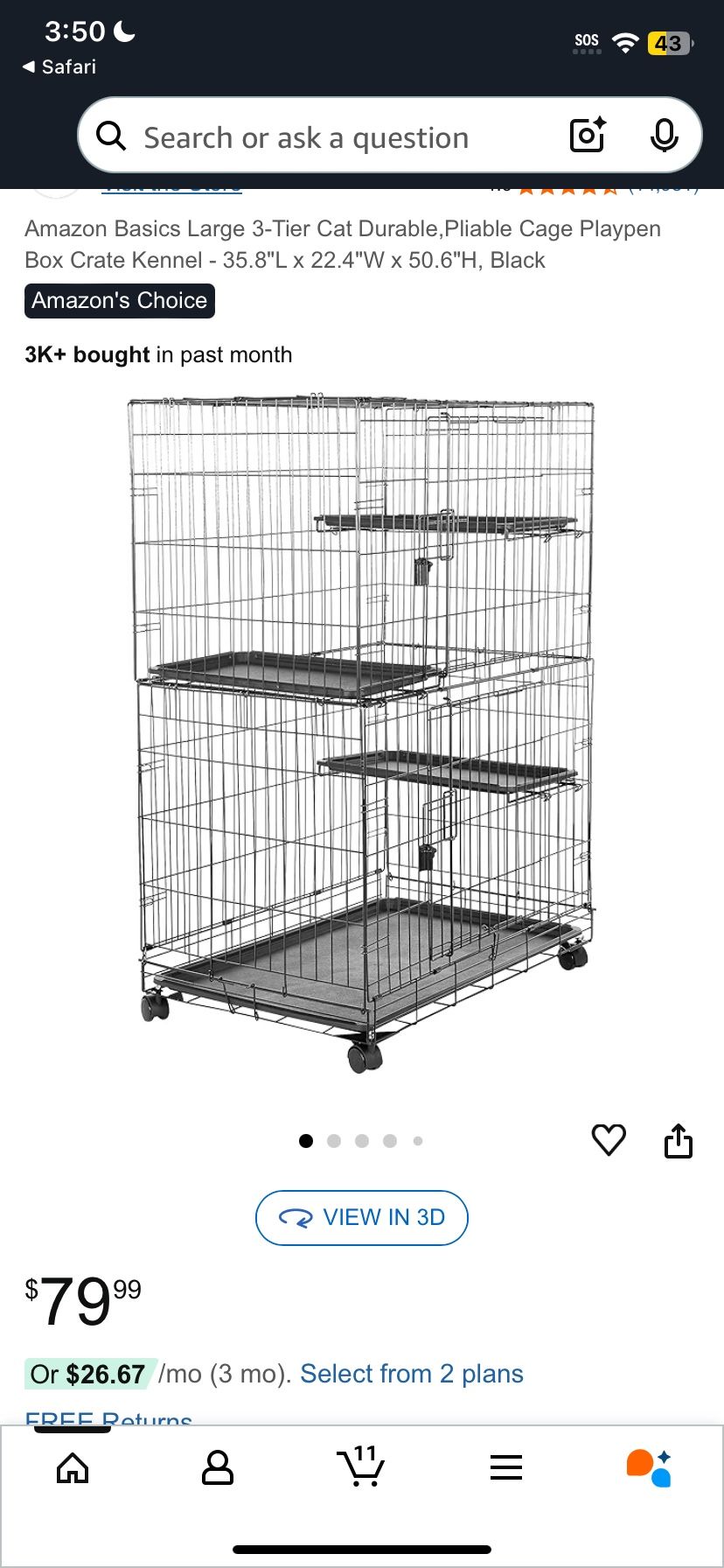 Cat, ferret, bird cage