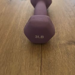 3lb Weight (single)