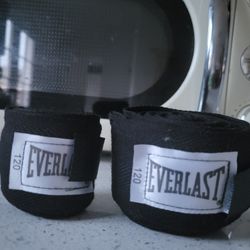 Everlast Boxing Raps