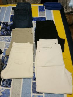Gloria Vanderbilt Pants
