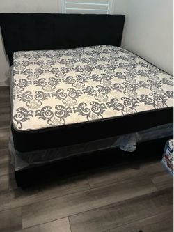 New Bed
