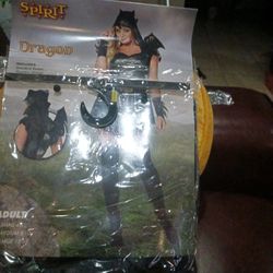 Dragon Adult  Size  8/10
