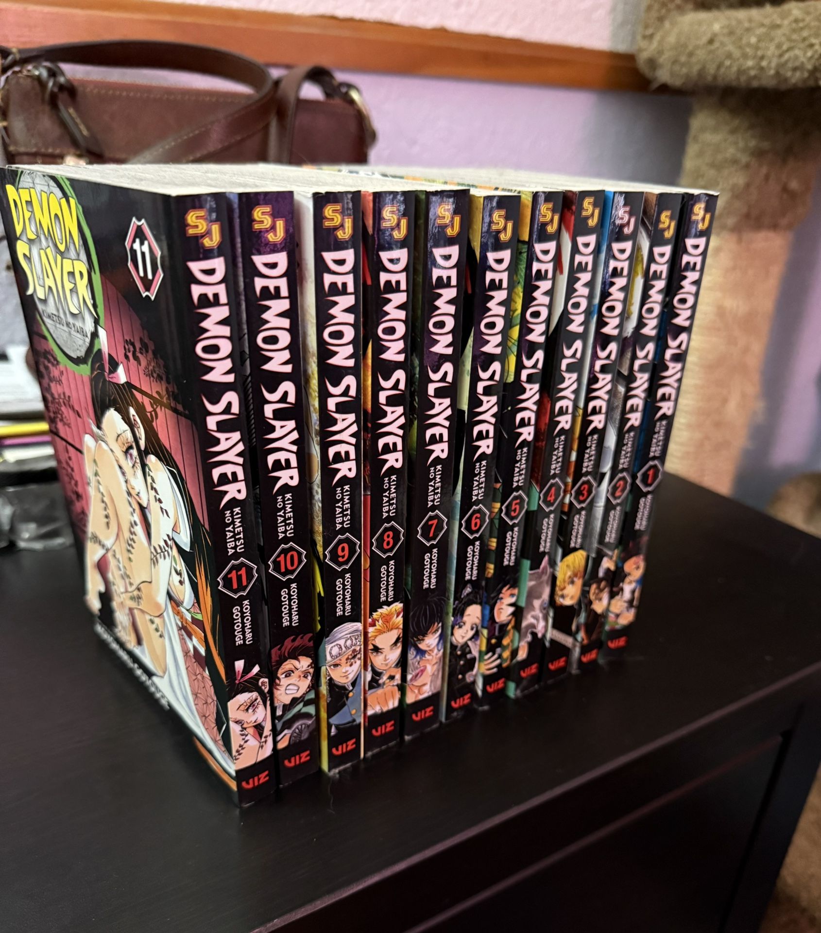 Demon Slayer Manga Volumes 1 11