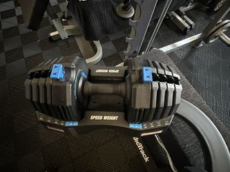 Norditrack Dumbells