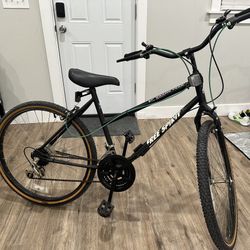 Free Spirit Bike $100