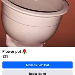 Flower Pot