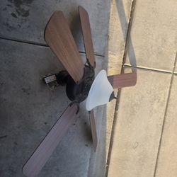 Ceiling fan 40$