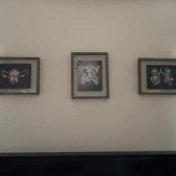 Trisha Thompson Adams Prints