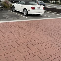 Mustang