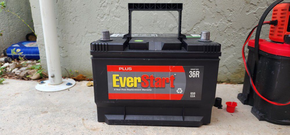 Everstart Car Battery 
