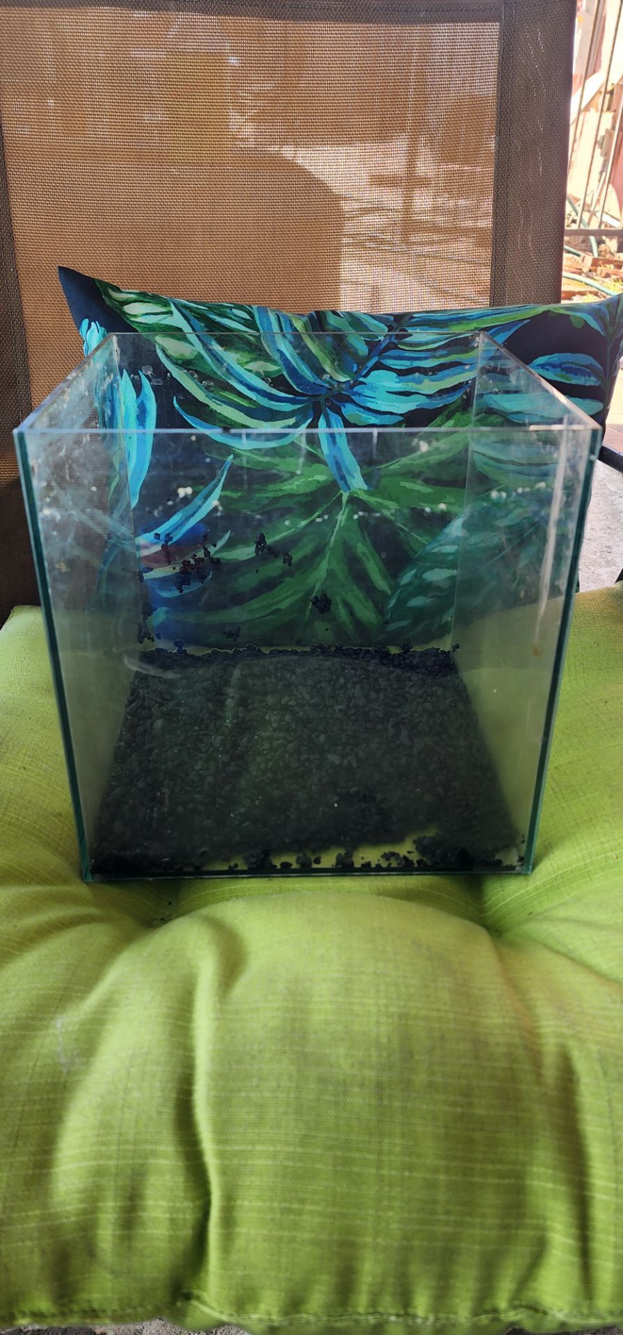3 gal fish tank