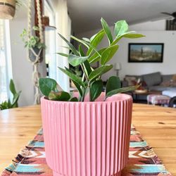 Brand New Pink Ceramic Ribbed Pot