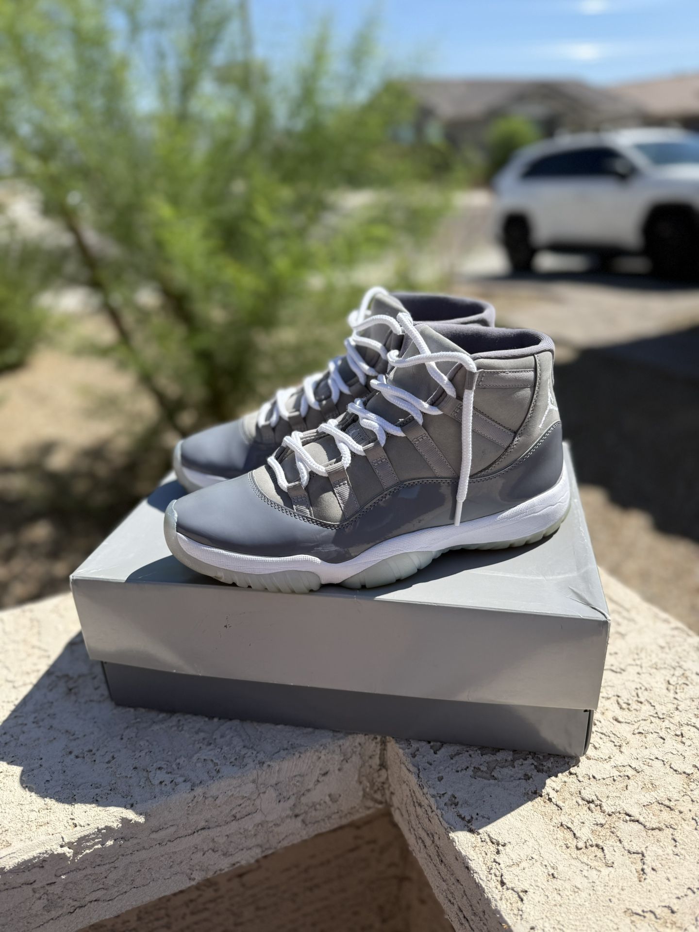 Jordan 11 Cool Grey
