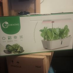 Amorning hydroponic system