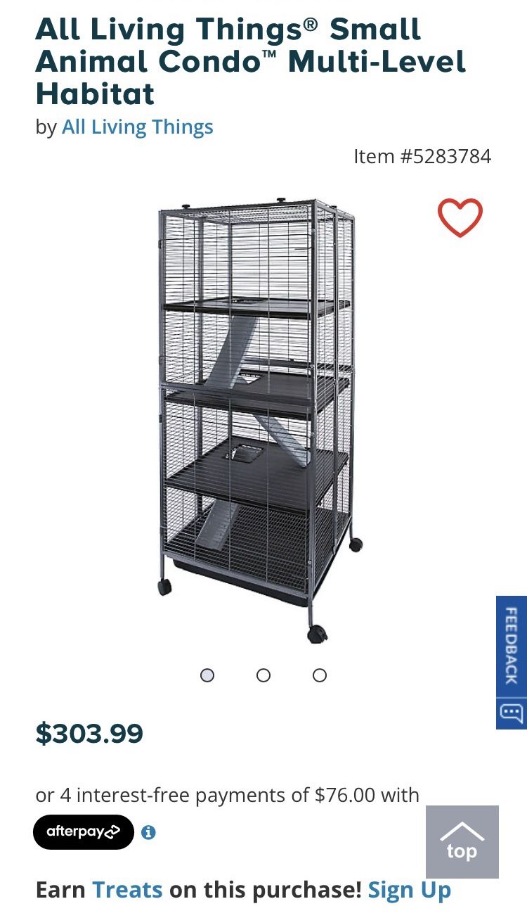 All Living Things Rat Starter