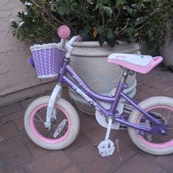 Joy Star Bike 
