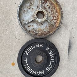 25LB Olympic Weights