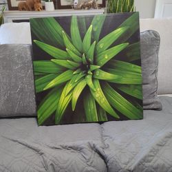 Canvas Frame  23" X 23"