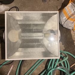 Grow Lights And Light Bulbs Included